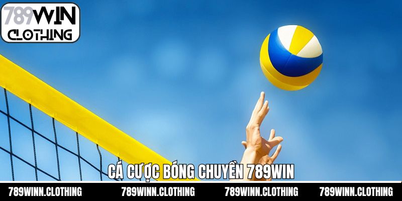 Cá Cược Bóng Chuyền 789Win - Nắm Quy Tắc Để Tối Ưu Cửa Thắng