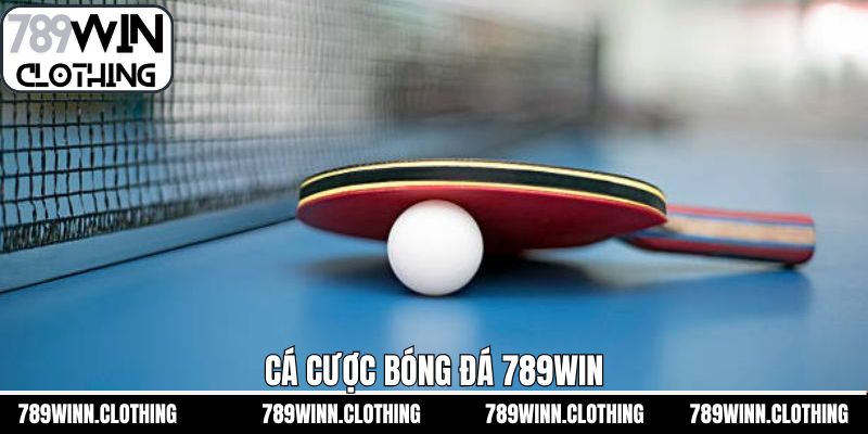 Cá Cược Bóng Bàn 789Win - Bí Quyết Dự Đoán Hiệu Quả