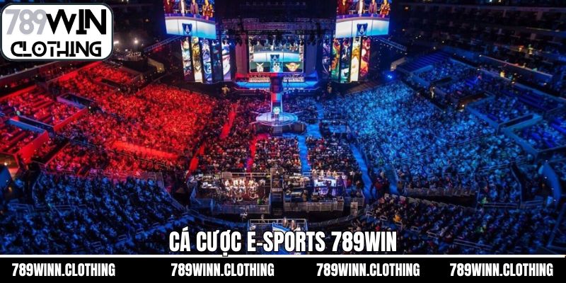 Cá Cược E-sports 789Win - Sân Chơi Giải Trí Kịch Tính