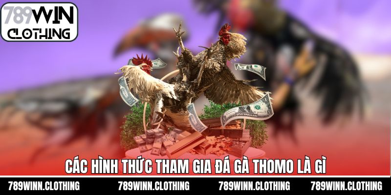 Top các hình thức cược đá kê Thomo hấp dẫn nhất