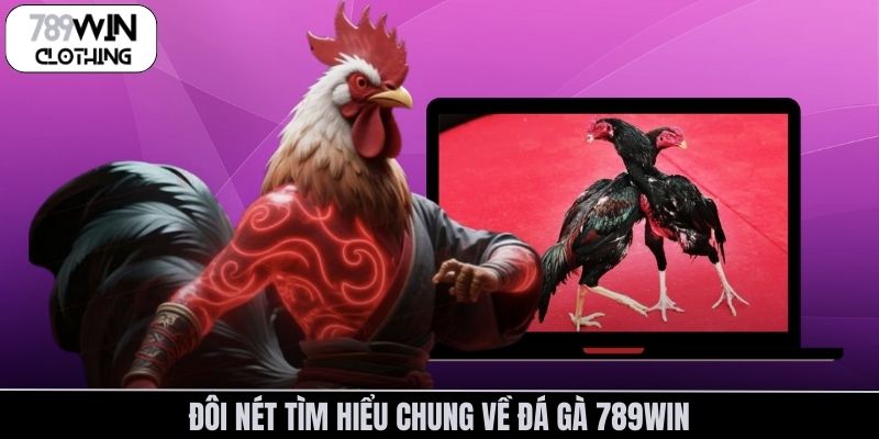 Đôi nét tìm hiểu chung về đá gà 789Win