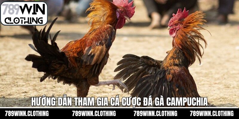 Hướng dẫn xem trận đấu và đặt cược an toàn trên 789Win