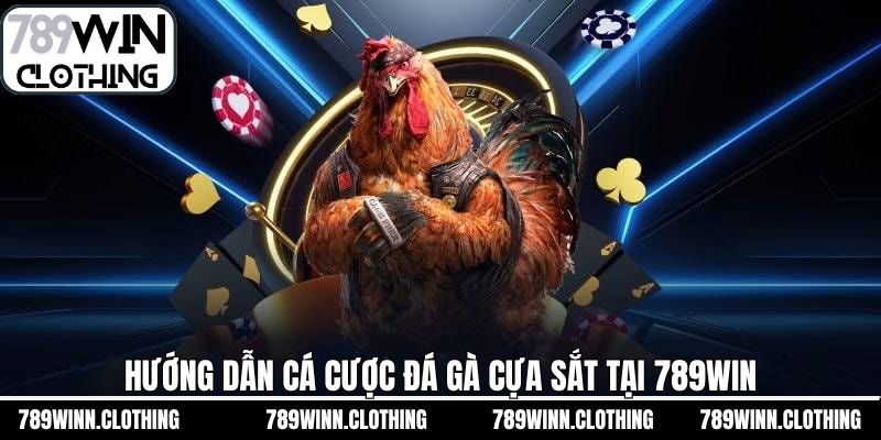 Quy trình đơn giản để đến với chọi kê cựa sắt tại 789Win