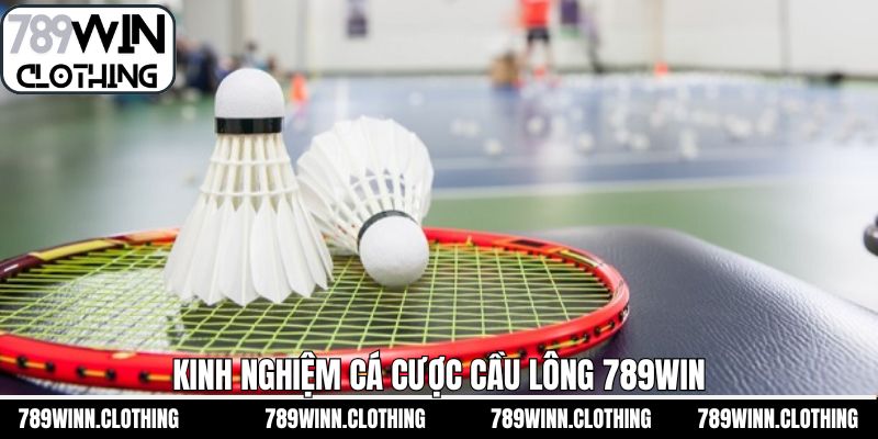 Chiến lược hiệu quả khi cá cược cầu lông 789Win