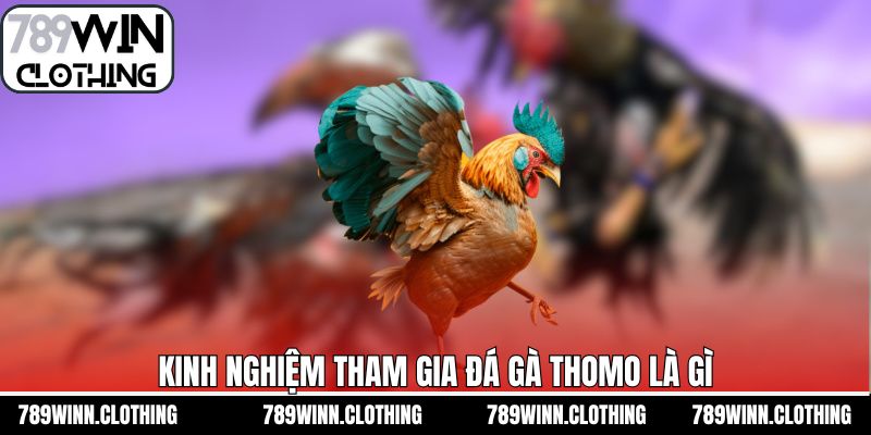 Top những kinh nghiệm chiến thuật chơi đá gà Thomo