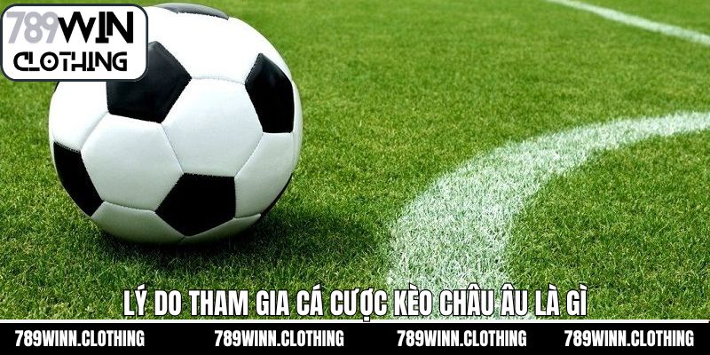 Khám phá các ưu điểm khi cược kèo châu Âu tại nhà cái