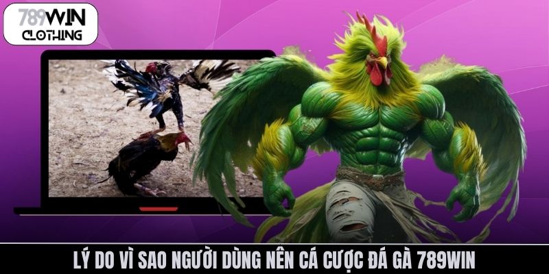 Lý do vì sao người dùng nên cá cược đá gà 789Win