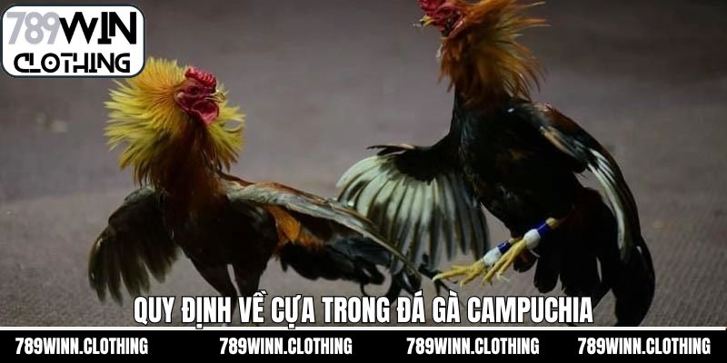Những quy định về cựa trong đá gà Campuchia tại 789Win