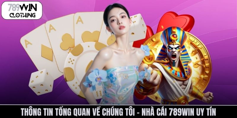 Thông tin tổng quan về chúng tôi - Nhà cái 789Win uy tín