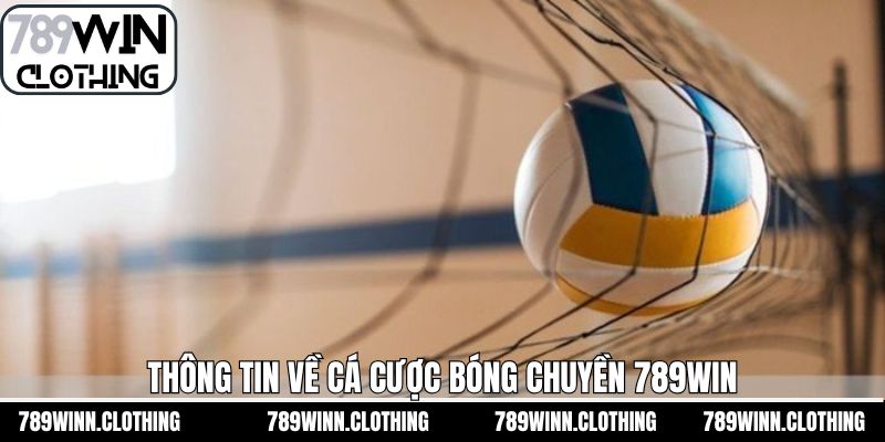 Khái quát về cá cược bóng chuyền 789Win 