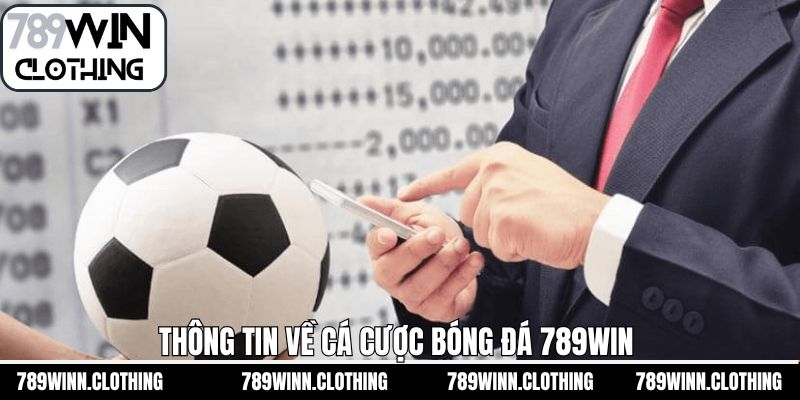 Tóm tắt về cá độ bóng đá 789Win