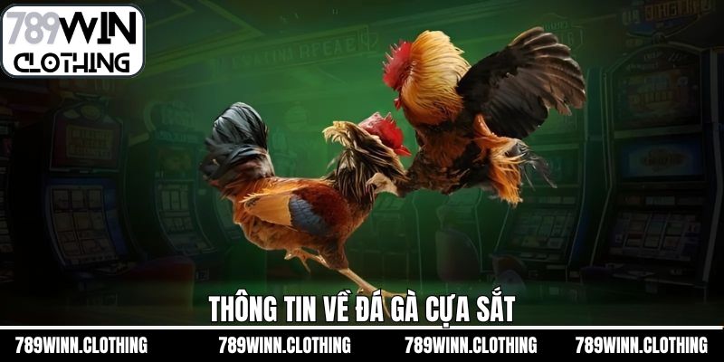 Tìm hiểu đôi chút về hình thức chọi kê cựa sắt tại 789Win