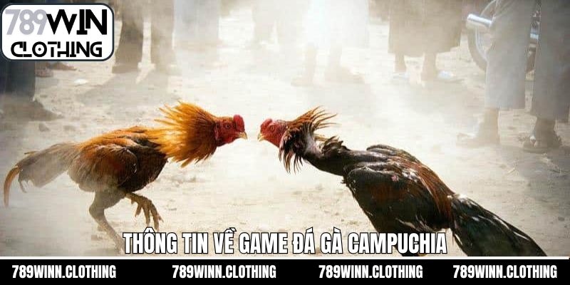Tổng thể về sảnh đá gà Campuchia của 789Win
