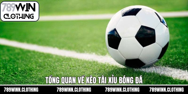 Nét chính về kèo tài xỉu tại 789Win