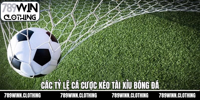 Kèo tài xỉu bóng đá cùng nhiều tỷ lệ đa dạng